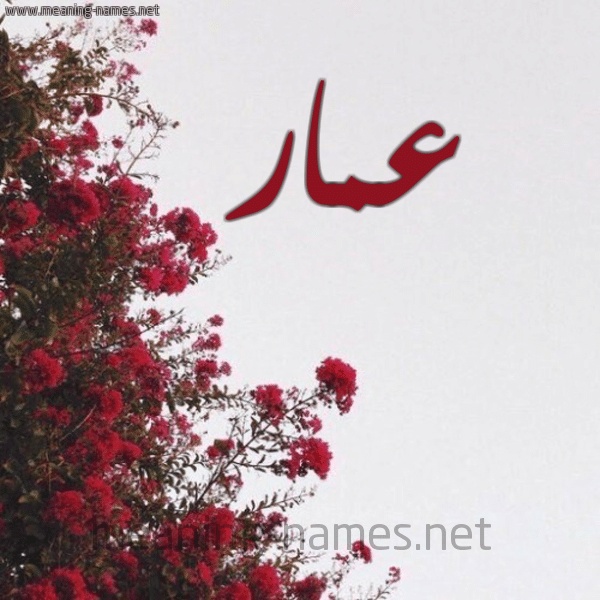 رسائل حب باسم عمار