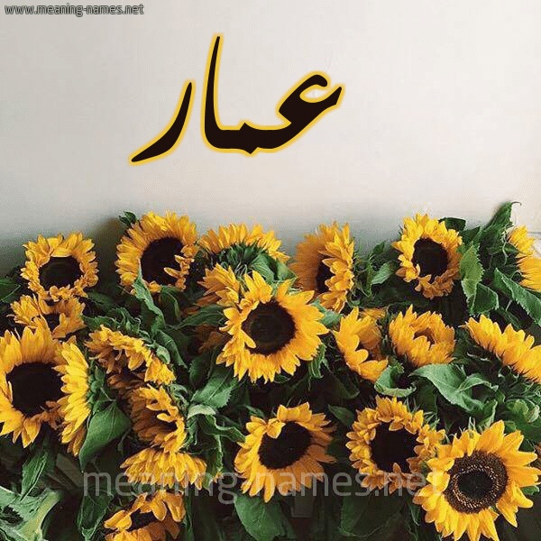 رسائل حب باسم عمار