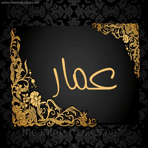 رسائل حب باسم عمار