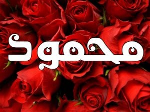 رسائل حب باسم محمود