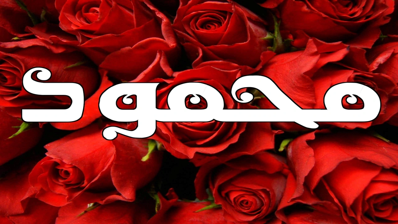 صورة رسائل حب باسم محمود