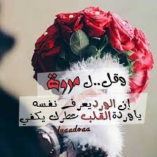 رسائل حب باسم مروة