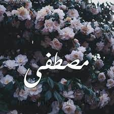 رسائل حب باسم مصطفى