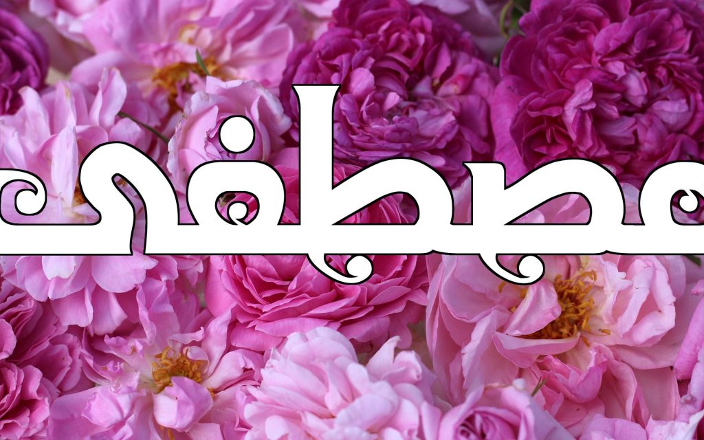 رسائل حب باسم مصطفى