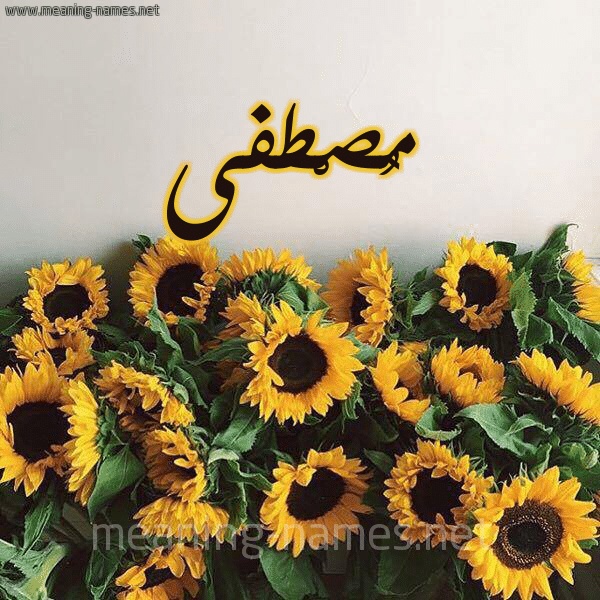 رسائل حب باسم مصطفى