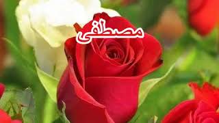 رسائل حب باسم مصطفى