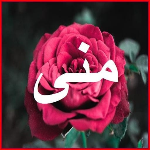 رسائل حب باسم منى