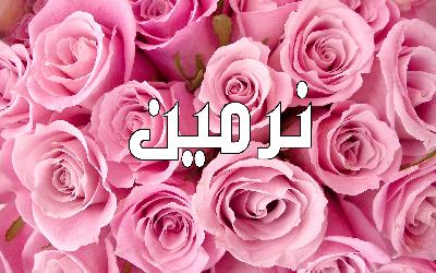 رسائل حب باسم نرمين