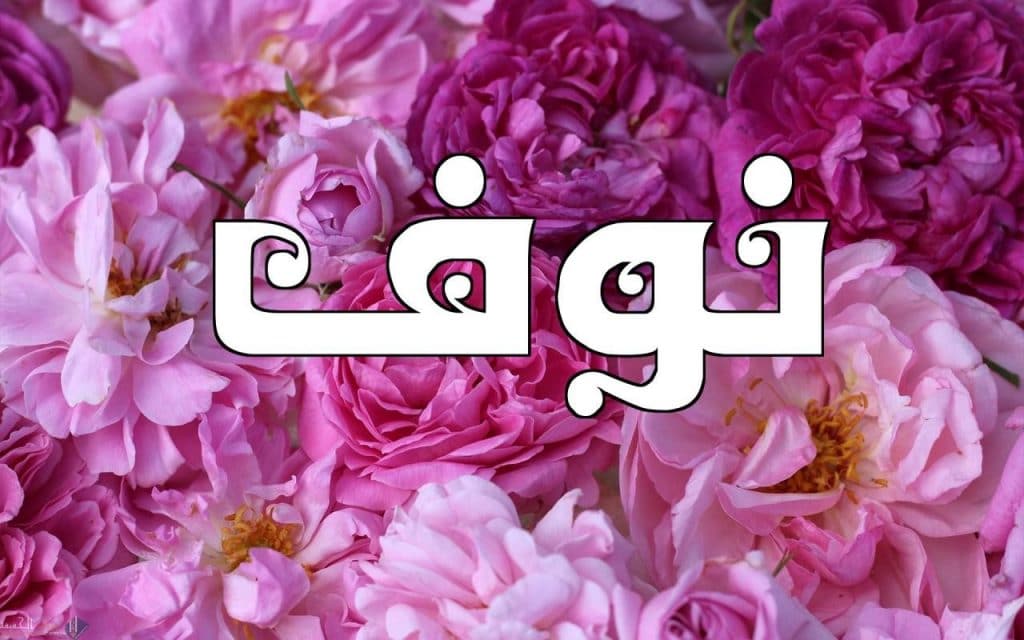 رسائل حب باسم نوف
