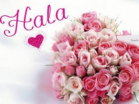 رسائل حب باسم هاله