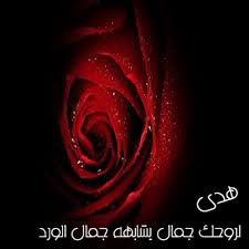 رسائل حب باسم هدى