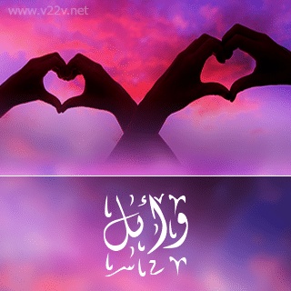 رسائل حب باسم وائل