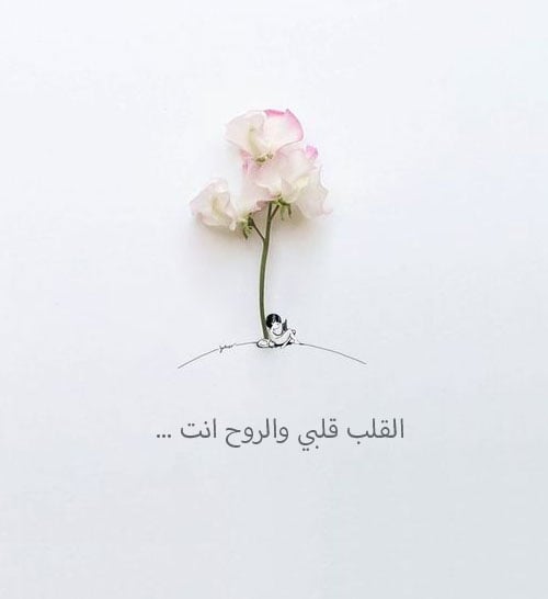 رسائل حب وغرام قوية