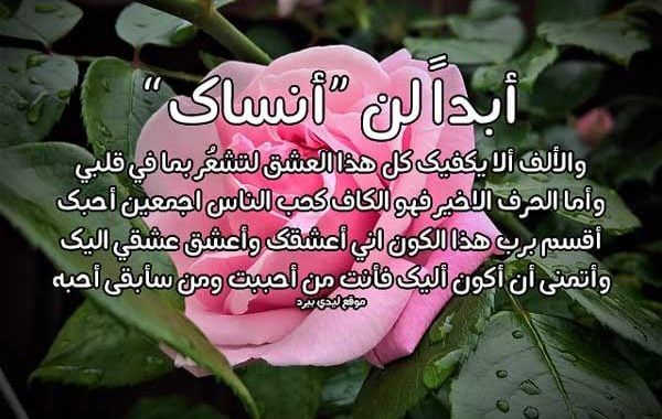 رسائل حب