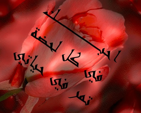 رسائل حبيبي احبك موت