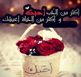 رسائل حبيبي وحشتني قصيرة
