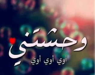 رسائل حبيبي وحشتني قصيرة