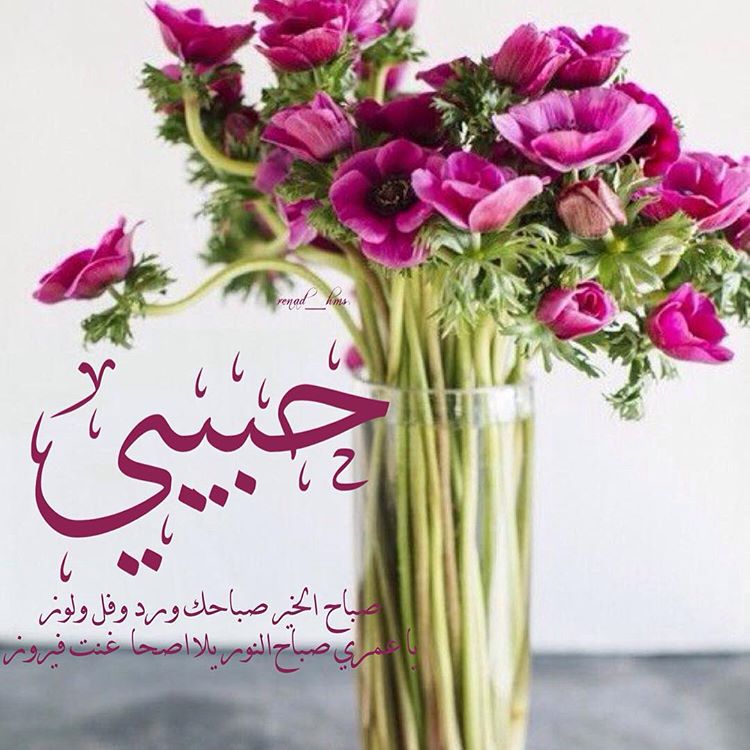 رسائل صباحية صباح الخير