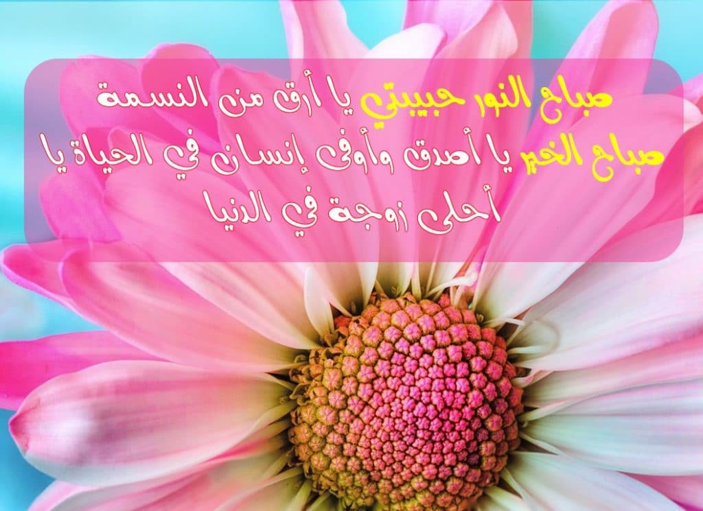 رسائل صباحية للزوج
