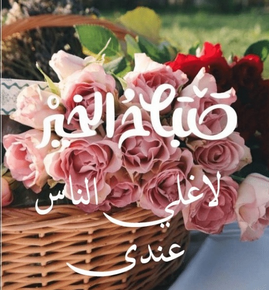 رسائل صباحية ملهمة