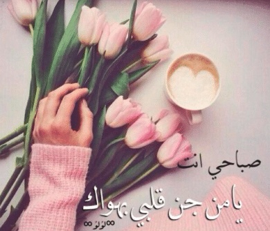 رسائل صباحية