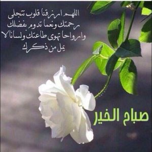 رسائل صباحية