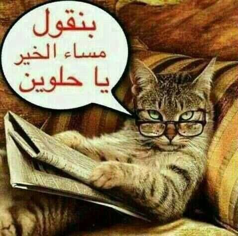 رسائل ضحك