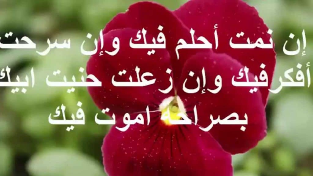رسائل ضحك