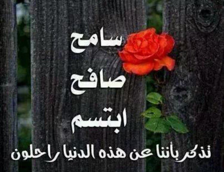 رسائل طلب السماح والعفو