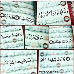 رسائل قرانية