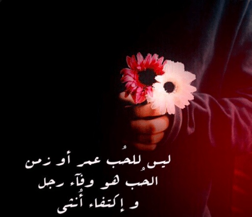 رسائل كلام جميل