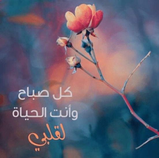 رسائل للمتزوجين صباحية