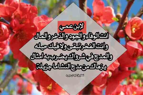 رسائل مدح ابن العم