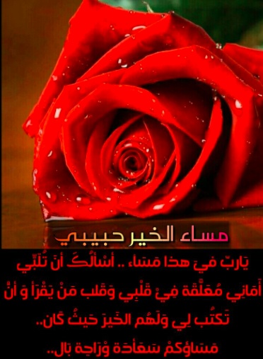 رسائل مسائيه جميله
