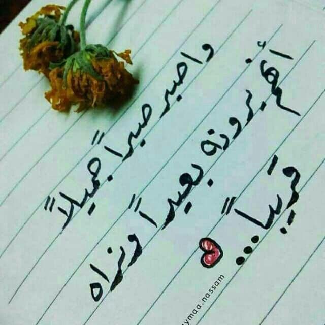 رسائل يومية جميلة