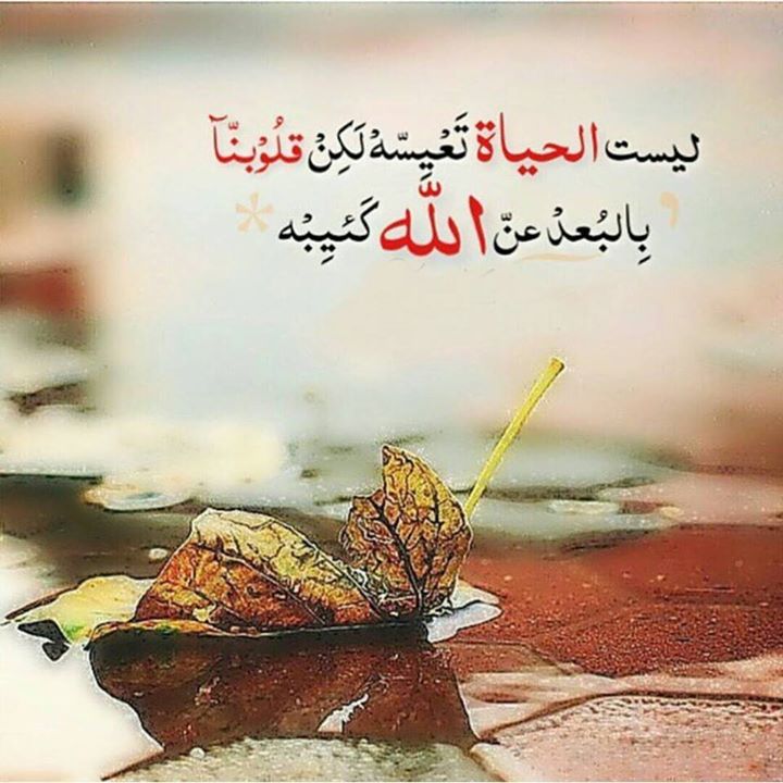 رسائل يومية جميلة