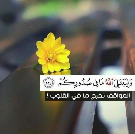 رسائل يوميه لك من القران الكريم