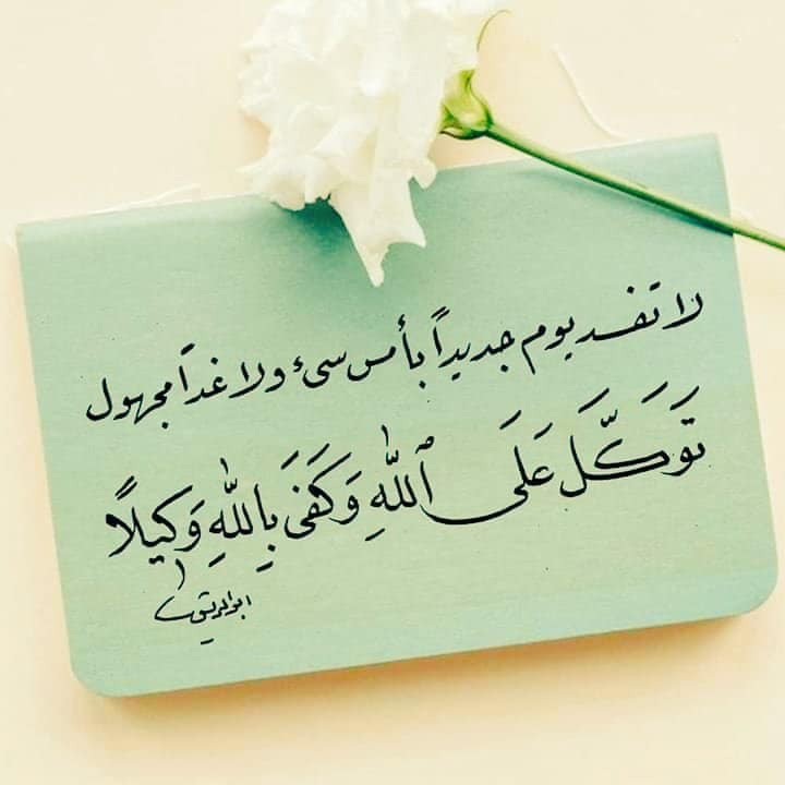رسائل يوميه لك من القران الكريم