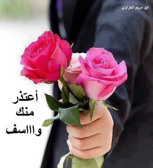 رسالة اعتذار لشخص أخطأت في حقه