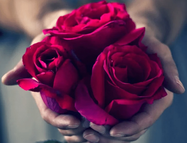 رسالة اعتذار للجميع