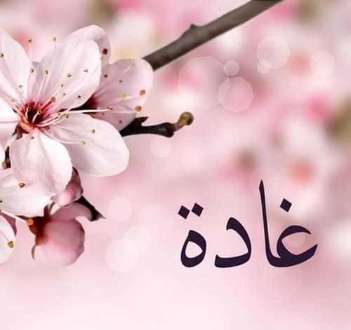 رسالة حب باسم غادة