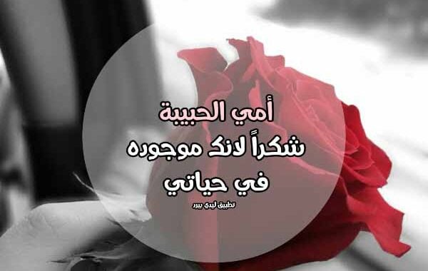 رسالة حب لامي