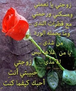 رسالة حب لزوجتي الغالية