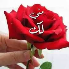 رسالة حب لزوجتي طويلة