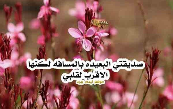 رسالة حب لصديقتي طويلة