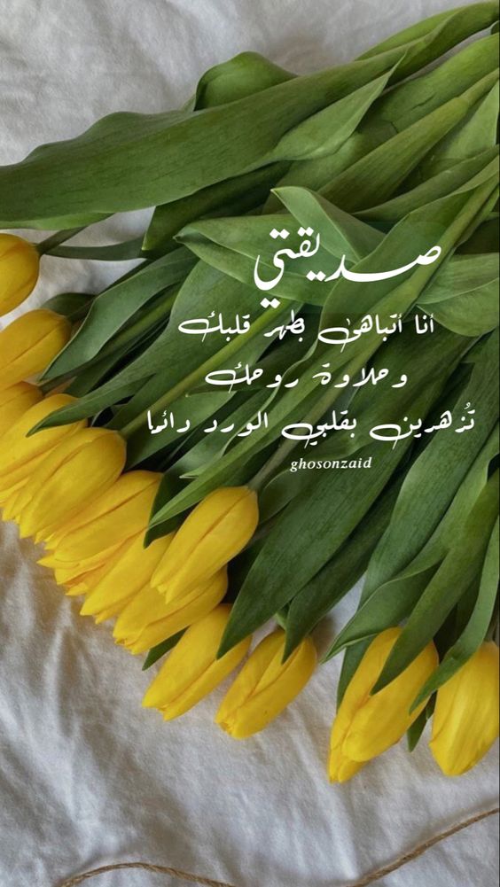 رسالة طويلة لصديقتي