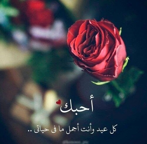 رسالة عيد ميلاد