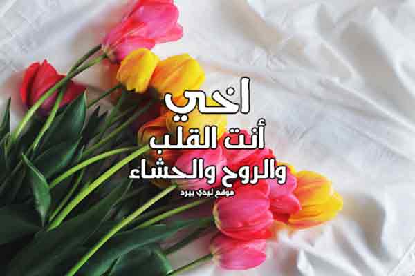 رسالة مدح الاخ