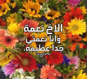 رسالة مدح الاخ