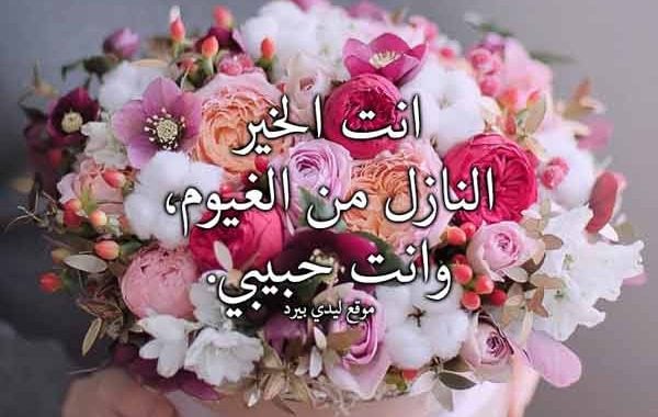 رسالة مدح للحبيب